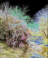 ART1109.jpg
