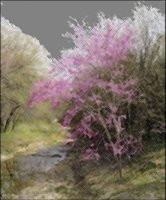 ART1107.jpg