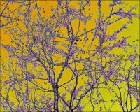 ART1104.jpg