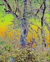 ART1099.jpg