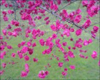 ART1097.jpg
