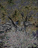 ART1096.jpg