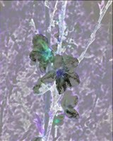 ART1093.jpg