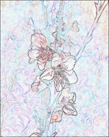 ART1078.jpg