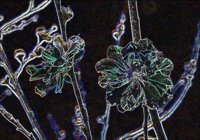 ART1071.jpg