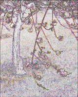 ART1070.jpg