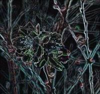 ART1067.jpg