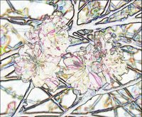 ART1064.jpg