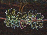 ART1063.jpg