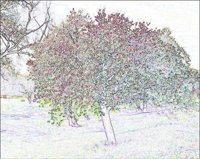 ART1059.jpg