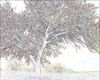 ART1057.jpg