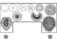 CRTCH011.jpg