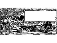 CRTCH003.jpg