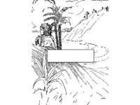 CRTCH219.jpg