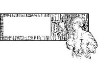 CRTCH186.jpg