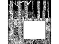 CRTCH289.jpg