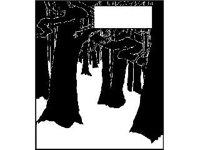 CRTCH263.jpg