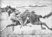 GRAY0896.jpg