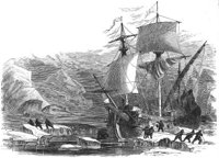 GRAY0882.jpg