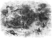 GRAY0878.jpg