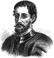 GRAY0869.jpg