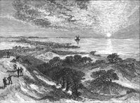 GRAY0830.jpg