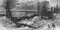 GRAY0829.jpg