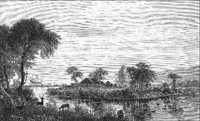 GRAY0800.jpg