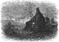 GRAY0790.jpg