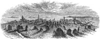 GRAY0779.jpg