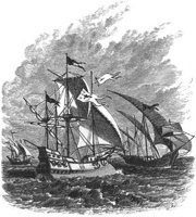 GRAY0756.jpg