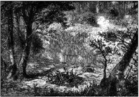 GRAY0723.jpg