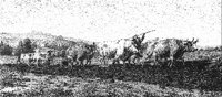 GRAY0719.jpg