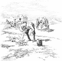 GRAY0711.jpg