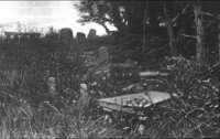 GRAY0676.jpg