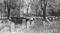 GRAY0675.jpg