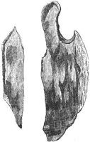GRAY0910.jpg