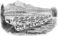 GRAY0961.jpg
