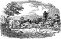 GRAY0964.jpg