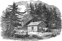 GRAY0963.jpg
