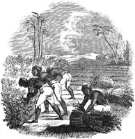 GRAY0966.jpg