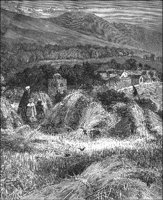 GRAY1093.jpg