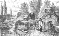 GRAY1031.jpg