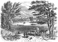GRAY1022.jpg