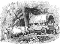 GRAY1109.jpg