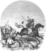 GRAY1104.jpg