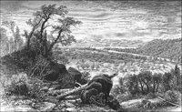GRAY0651.jpg
