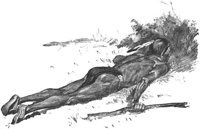 GRAY0634.jpg