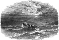 GRAY0622.jpg