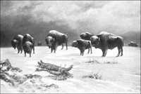 GRAY0578.jpg